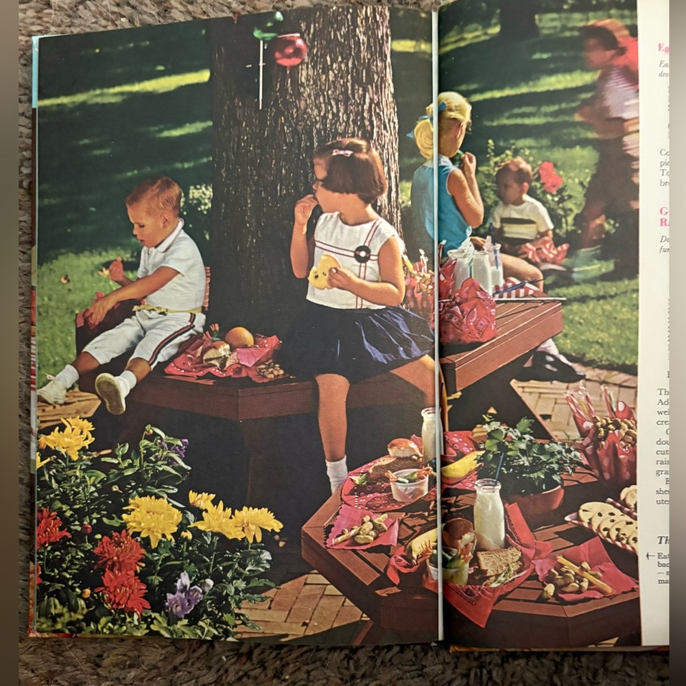 Vintage Better Homes & Gardens Barbecues and Picnics Book. Copyright 1963. - Picture 5 of 11